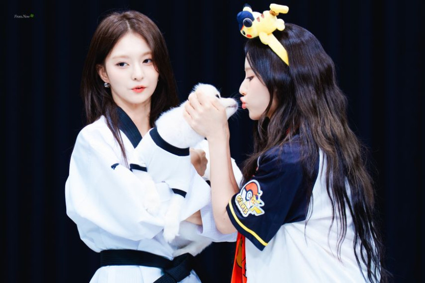 본문 이미지