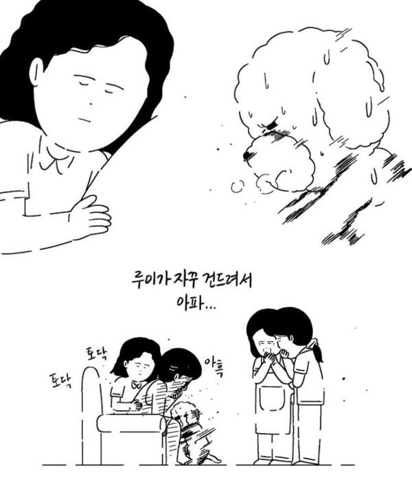 본문 이미지