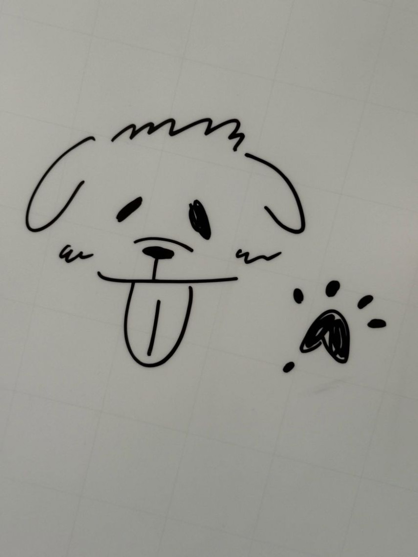 본문 이미지