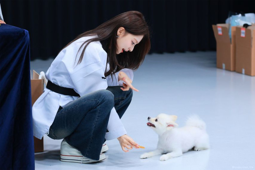 본문 이미지