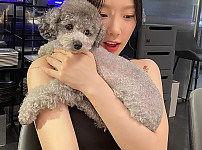 본문 이미지