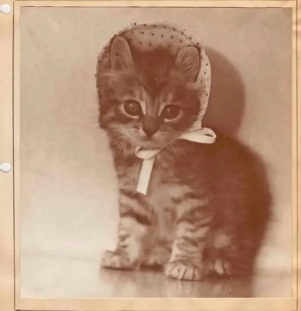 3b45fd5363dcbfc1c8960b5d01ce308b_1756456890_446.webp