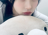 본문 이미지