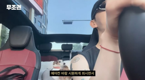본문 이미지