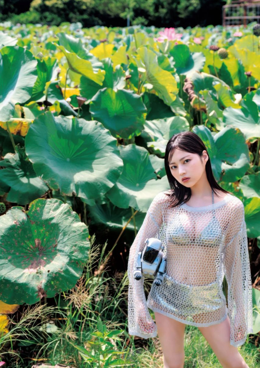 본문 이미지
