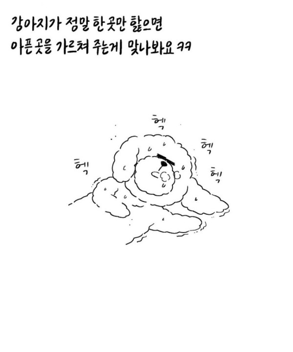 본문 이미지