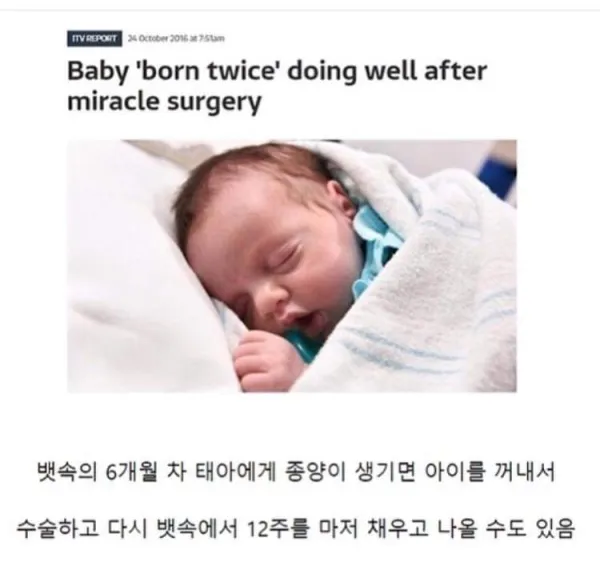 499bfbf113a69493dad29b8fd31cc4f4_1756379103_2123.webp