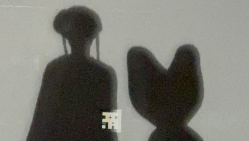 본문 이미지