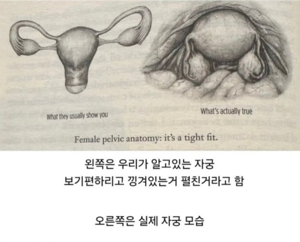 52eb9bda1bf8cba62de11620ce1a2c26_1755417836_9413.jpg