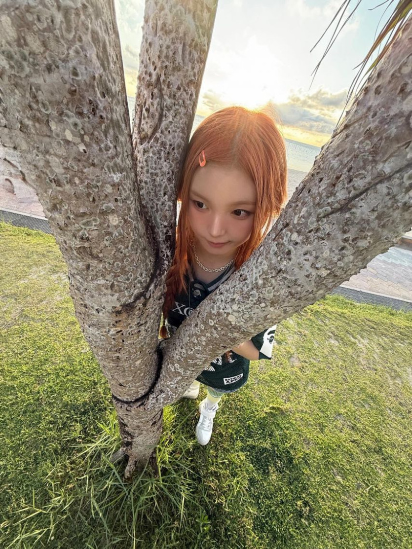 본문 이미지
