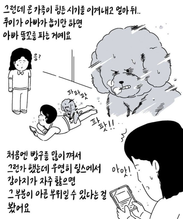 본문 이미지