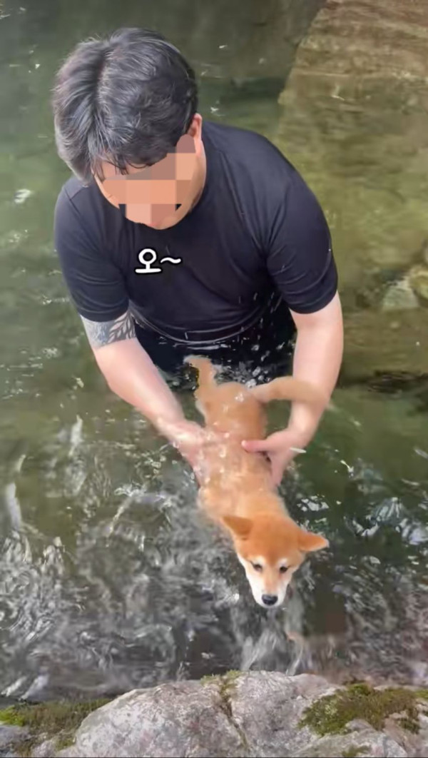 본문 이미지