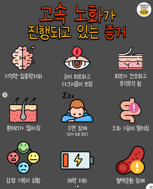 61d714da053e9e16d771249cce9bd353_1755762846_1724.png