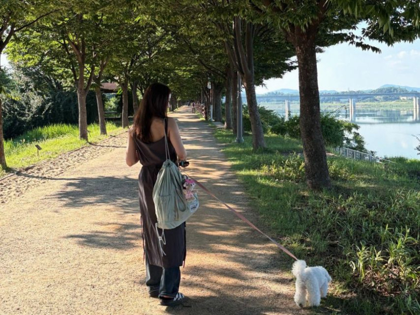 본문 이미지