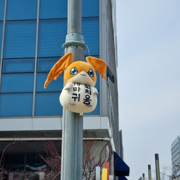 본문 이미지