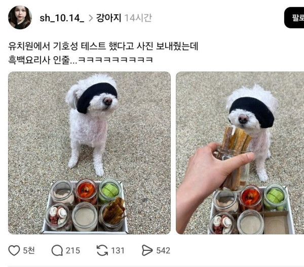 본문 이미지