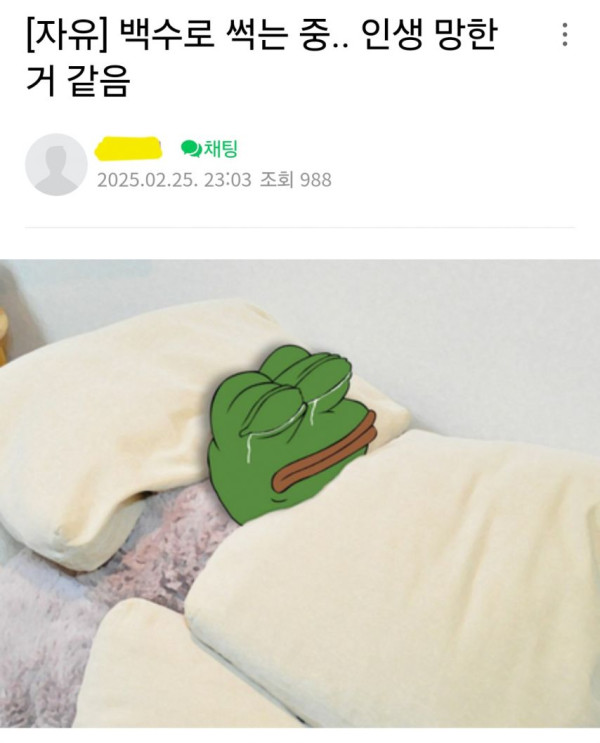 본문 이미지