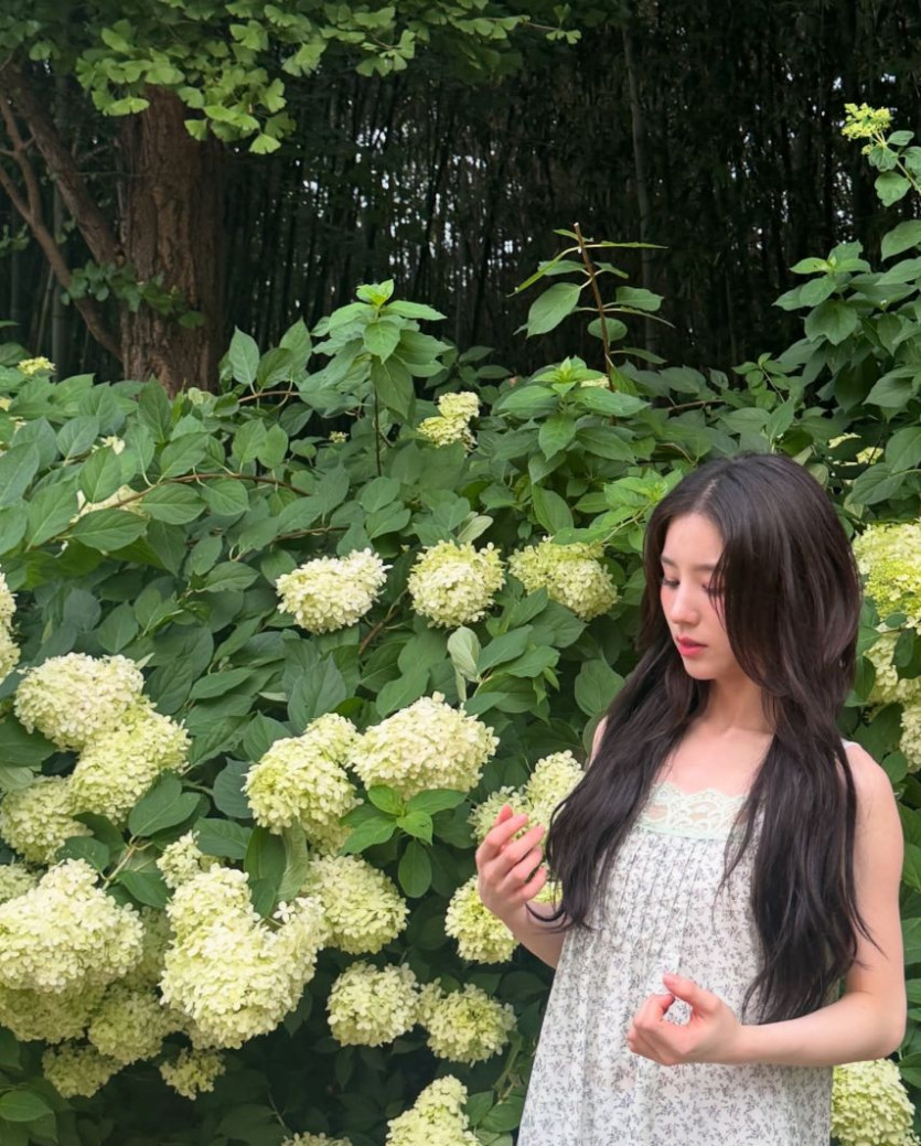 본문 이미지