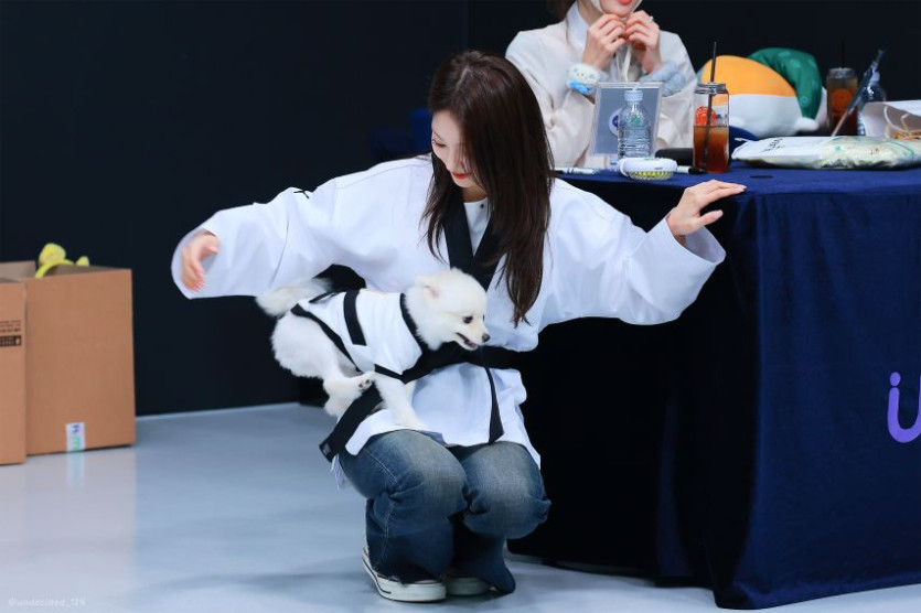 본문 이미지