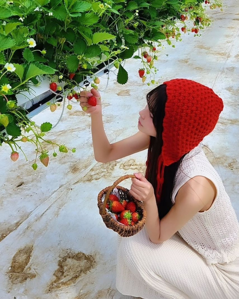 본문 이미지