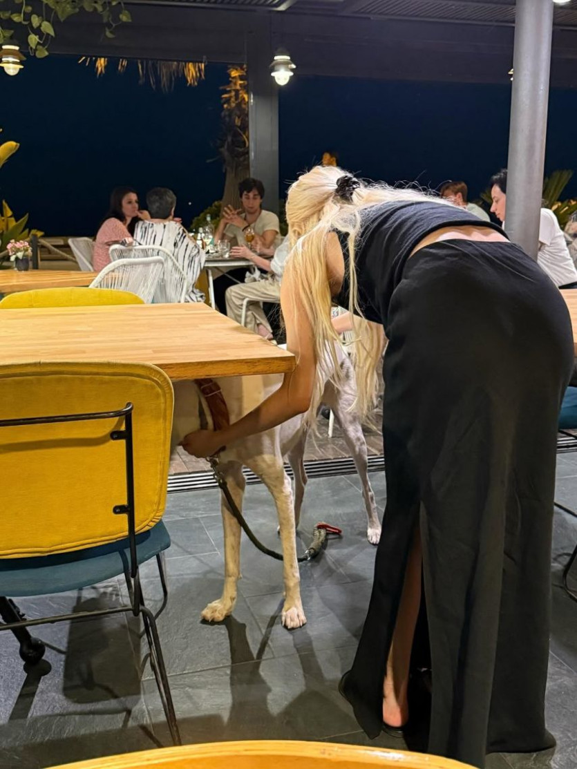 본문 이미지