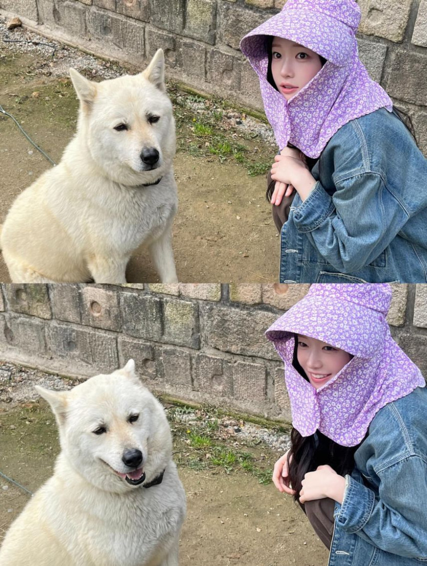 본문 이미지