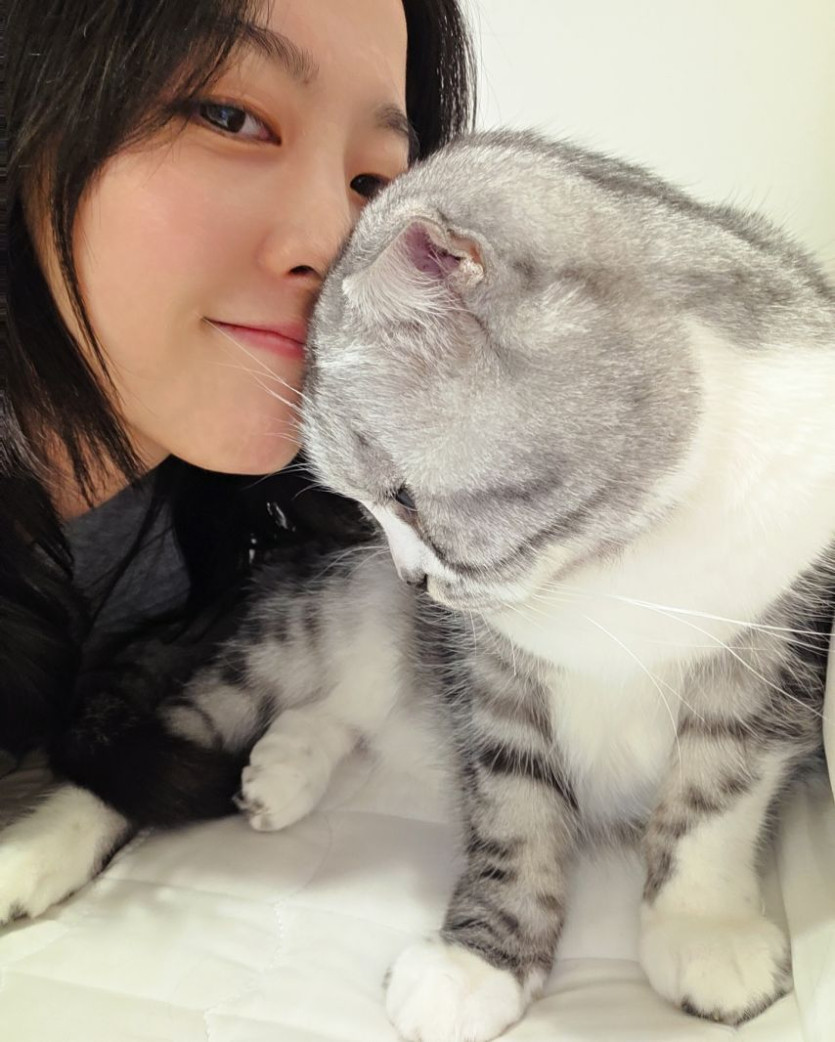본문 이미지