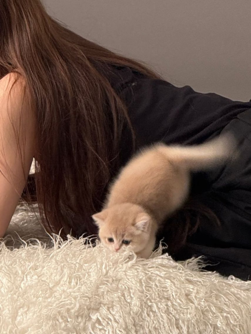 본문 이미지