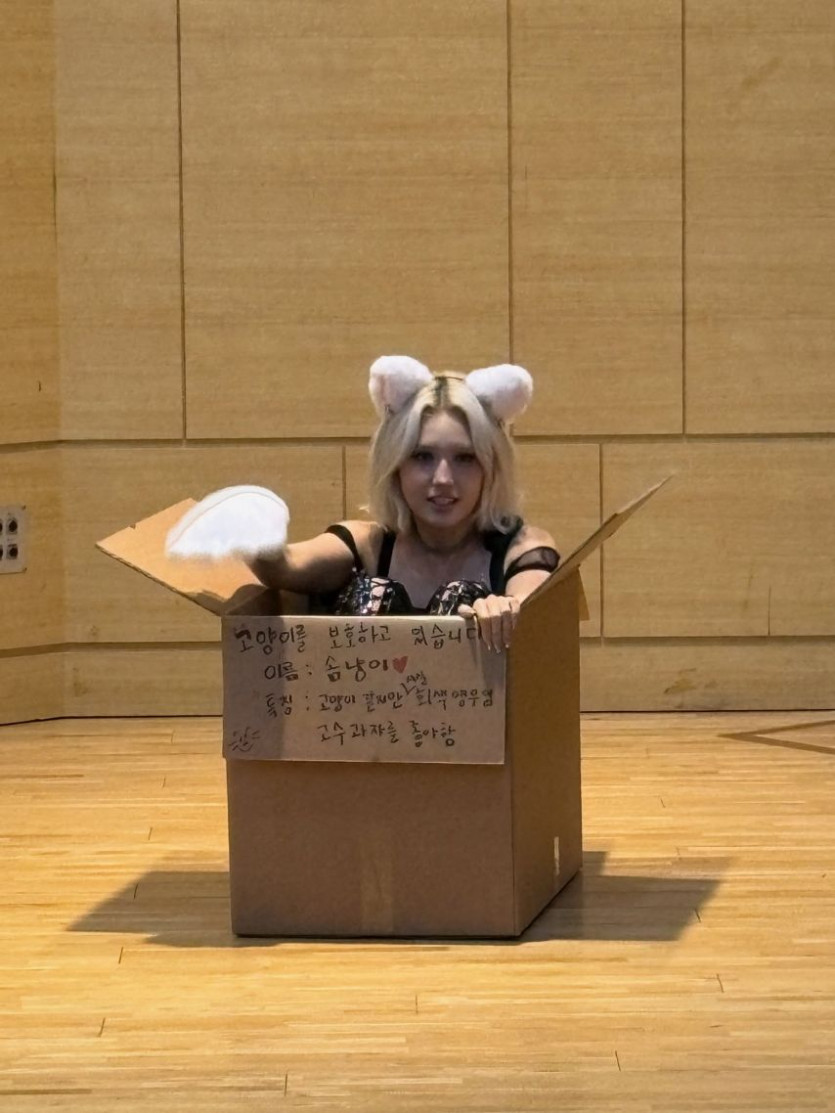 본문 이미지