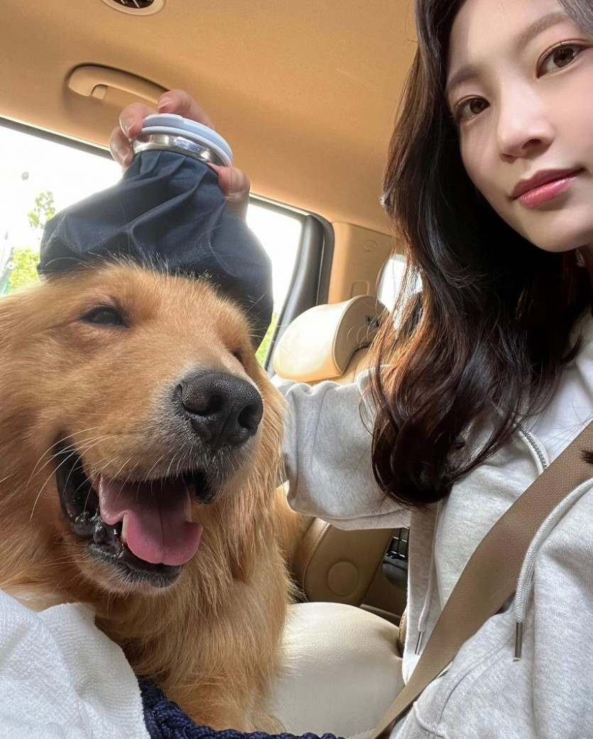 본문 이미지