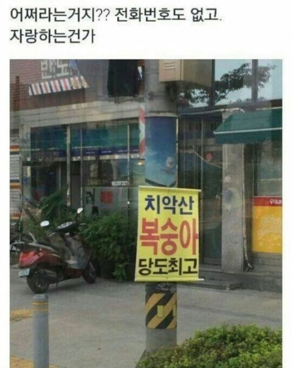 본문 이미지