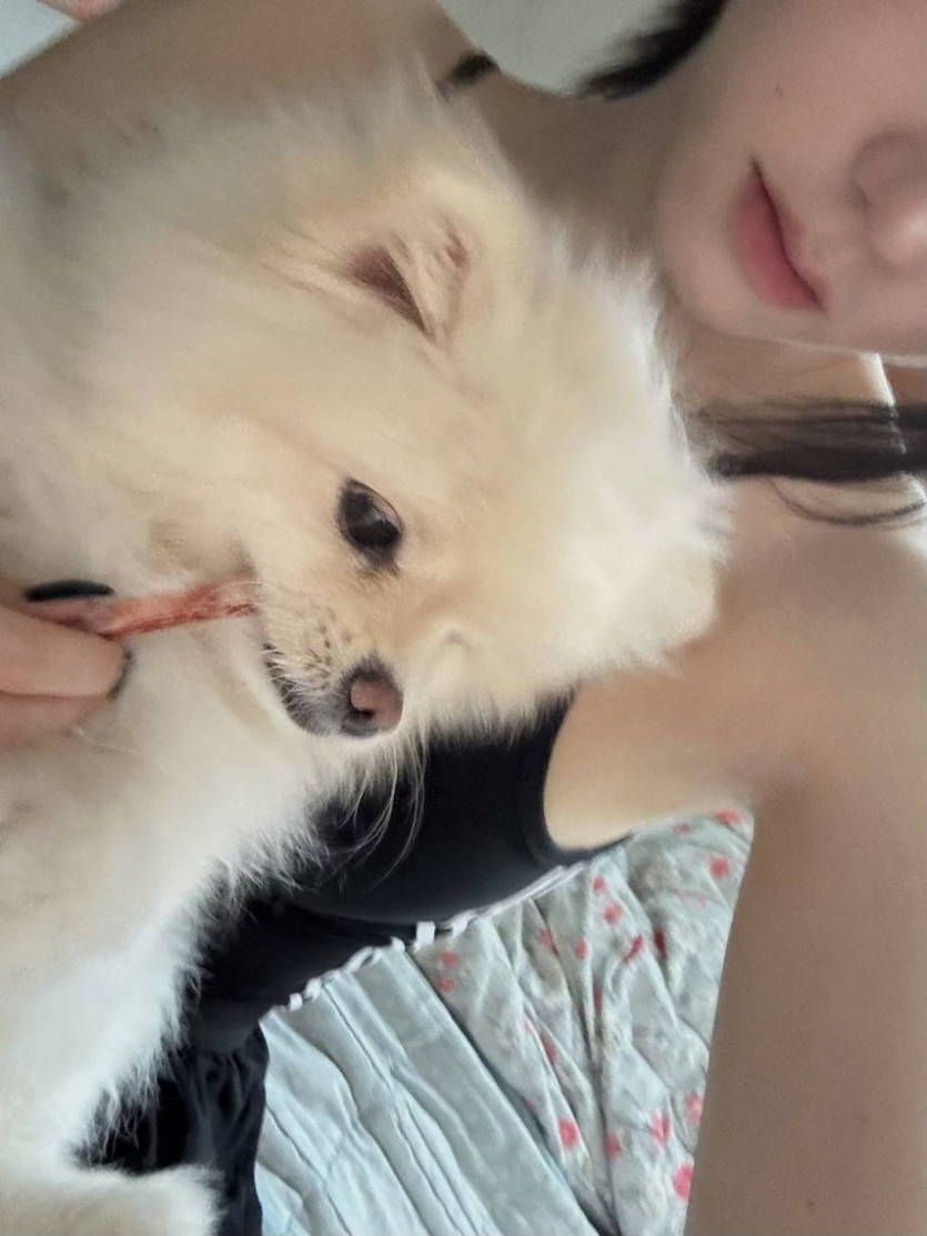 본문 이미지