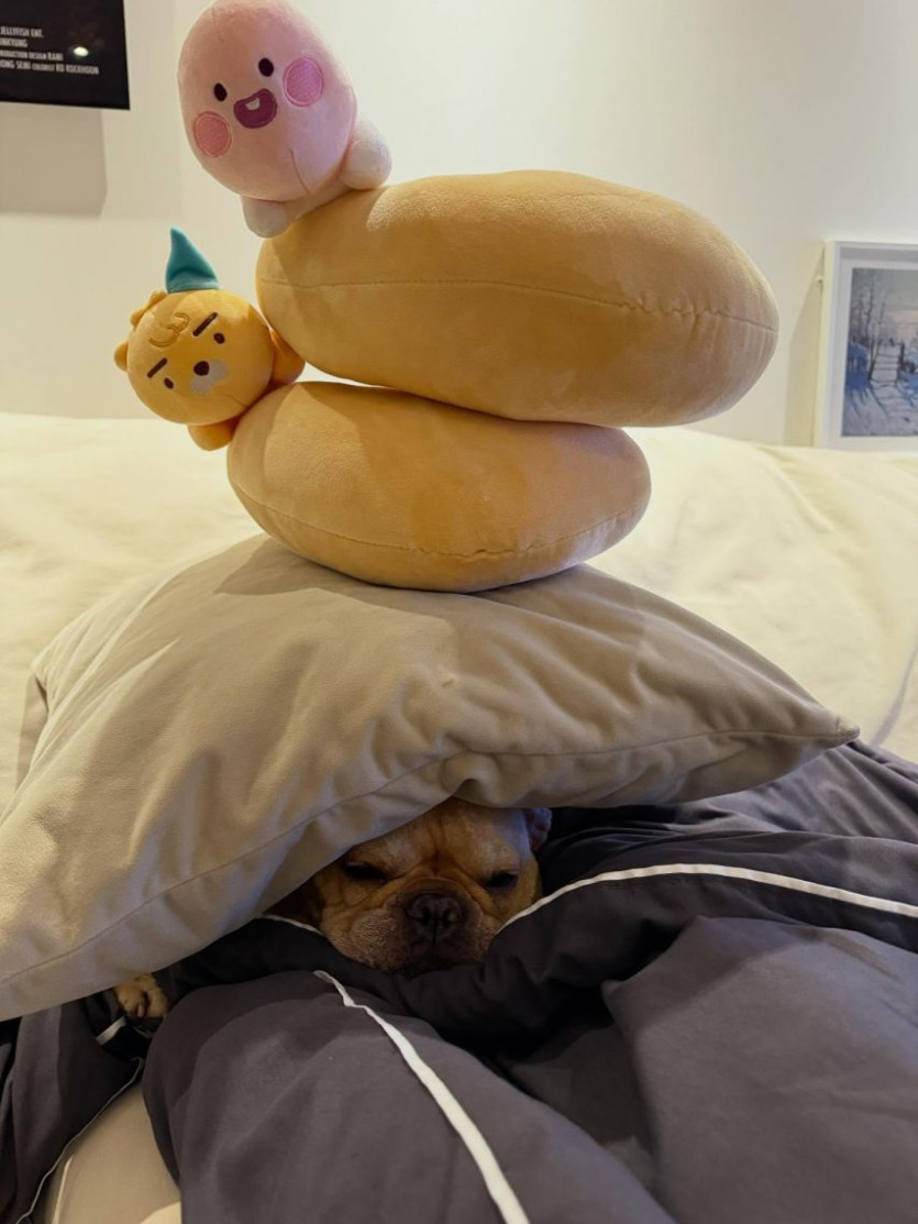 본문 이미지