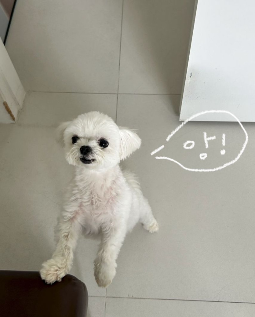 본문 이미지