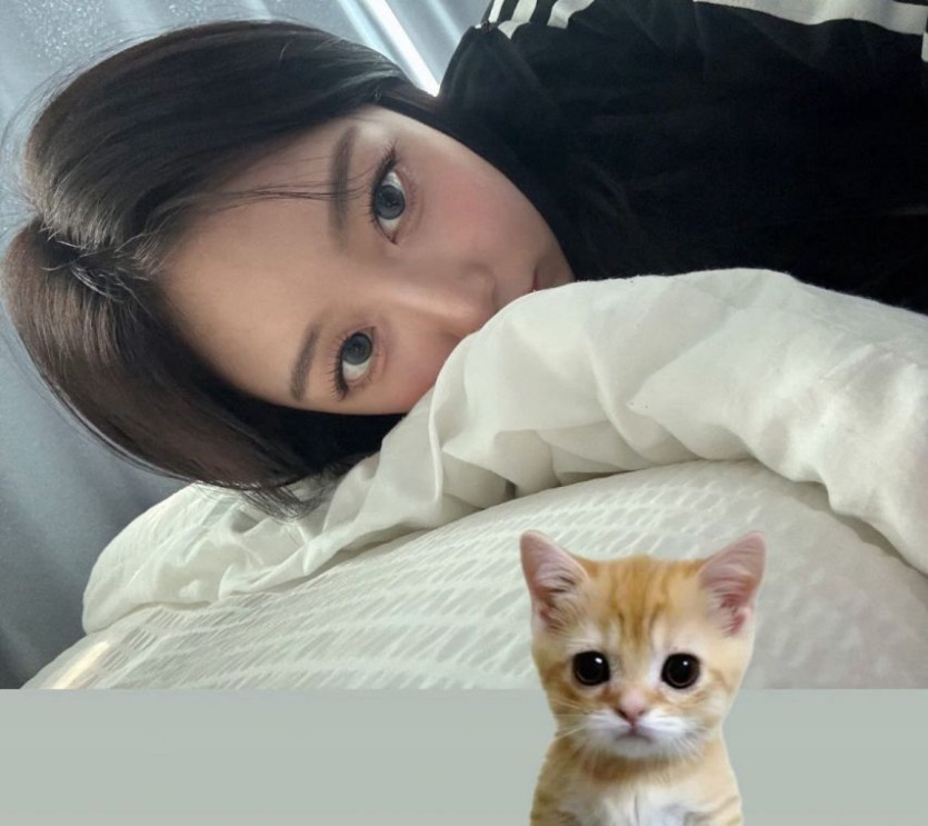 본문 이미지