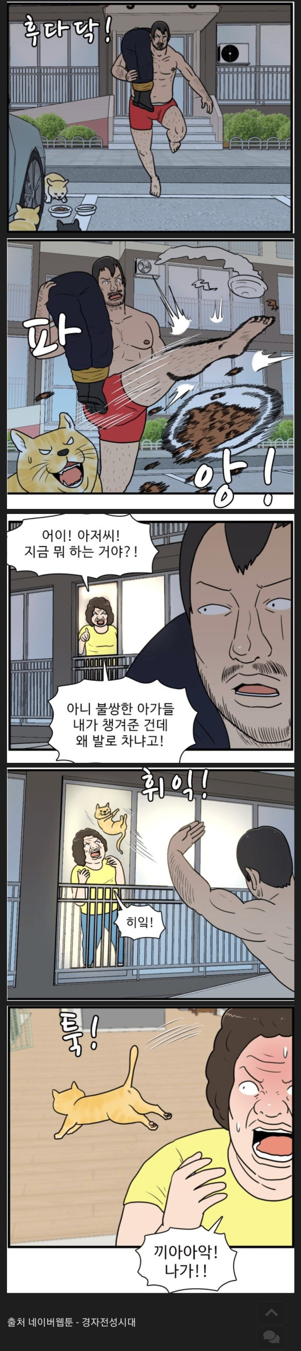 캣맘.jpg