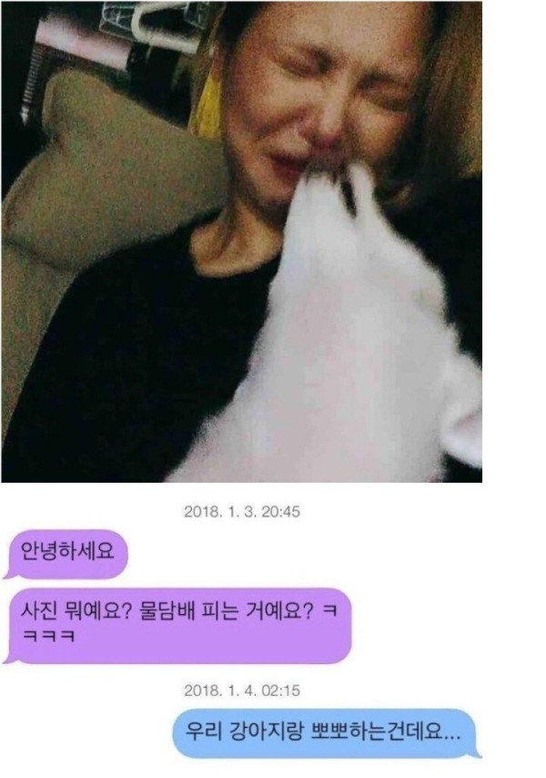 본문 이미지