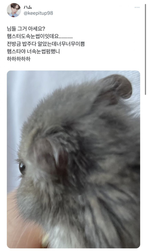 본문 이미지