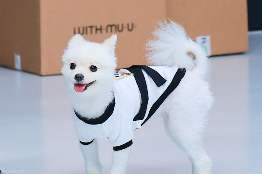 본문 이미지