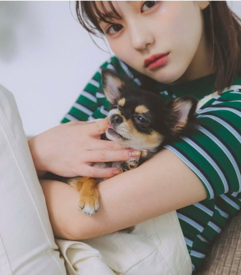 본문 이미지