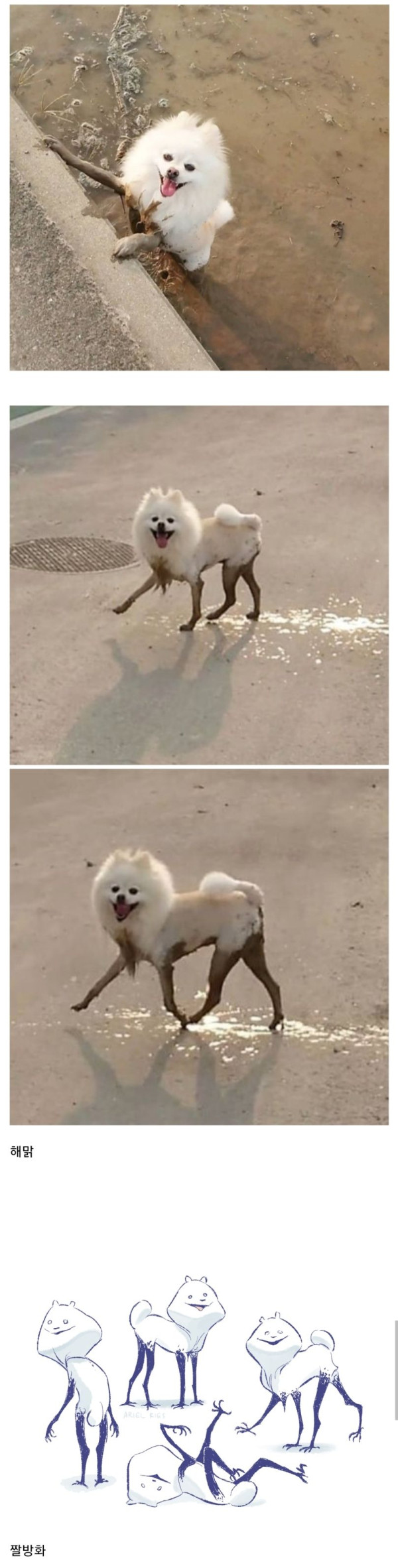 본문 이미지