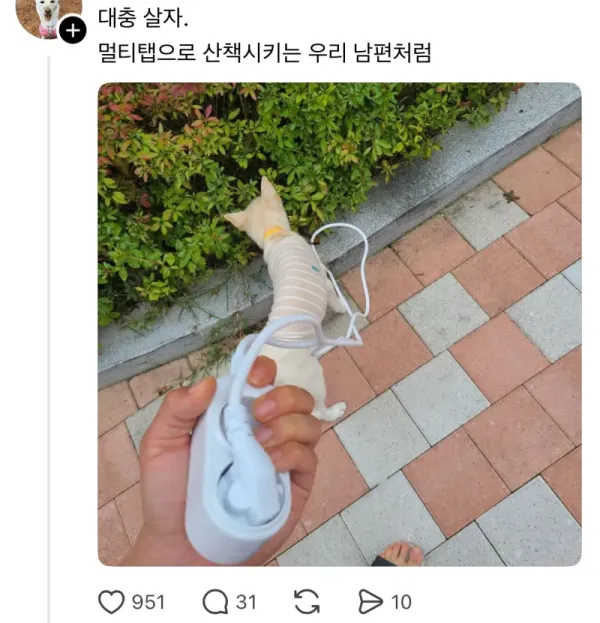 e41f57d0ae45fea02e6db4442c70b481_1755230658_898.webp