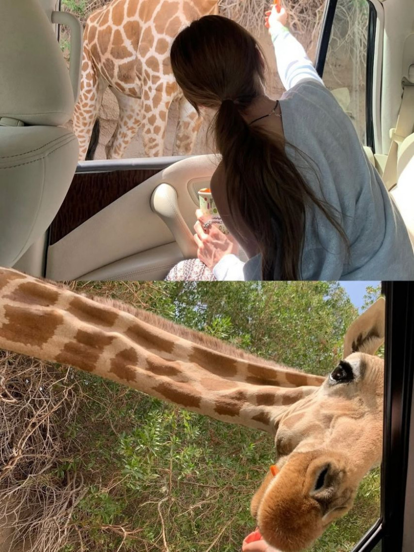 본문 이미지