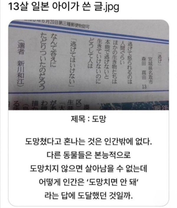 본문 이미지