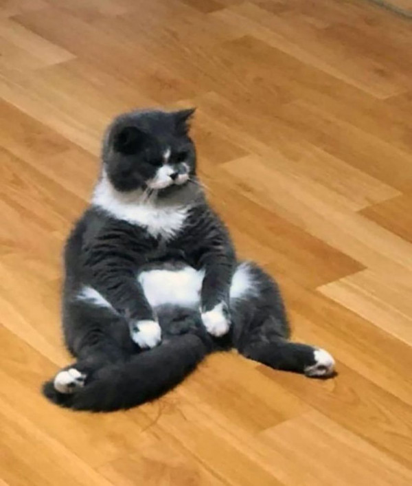 본문 이미지