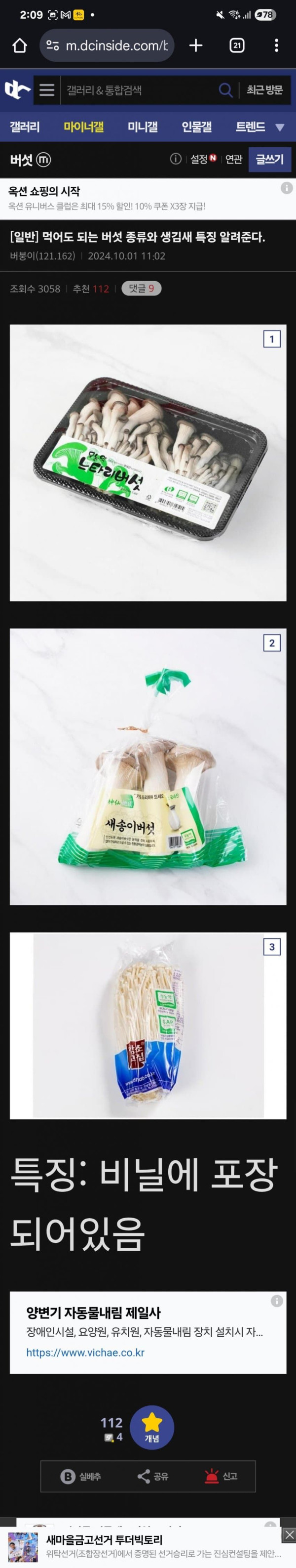 본문 이미지