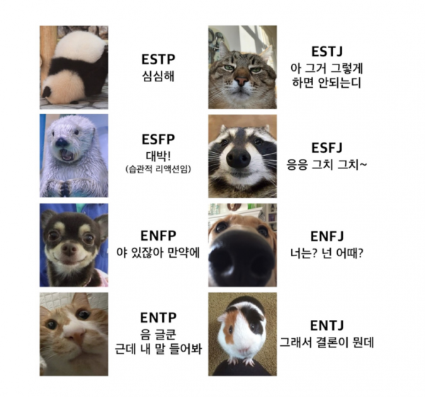 fcf1561583eacfc443d4dfc6546cd6e8_1755581811_1868.png