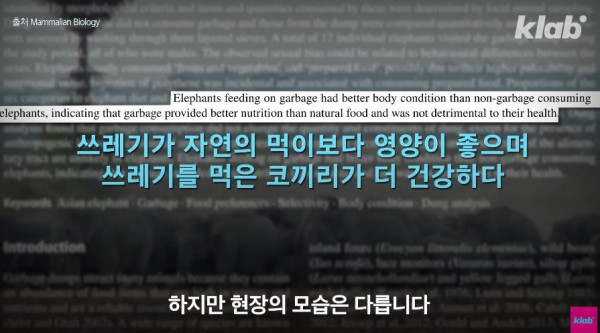 fe2f16ab119487551c47dcfb6cc9335c_1755495346_0484.jpg