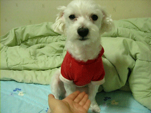d8c3032461cb99cb93e08a7854e9dc55_1756740128_2902.gif
