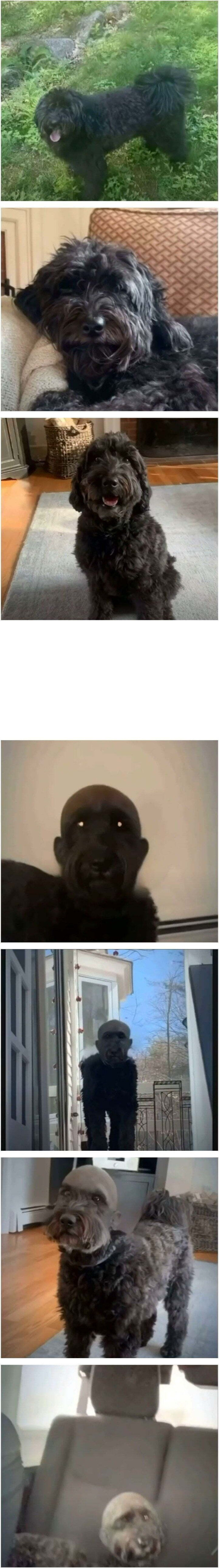 04298e2902c42e7ca9ccbb1d75a3b058_1758366913_0402.jpg